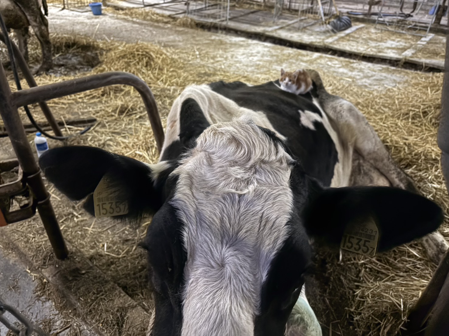 治療中ですからー！暖取らないでください！