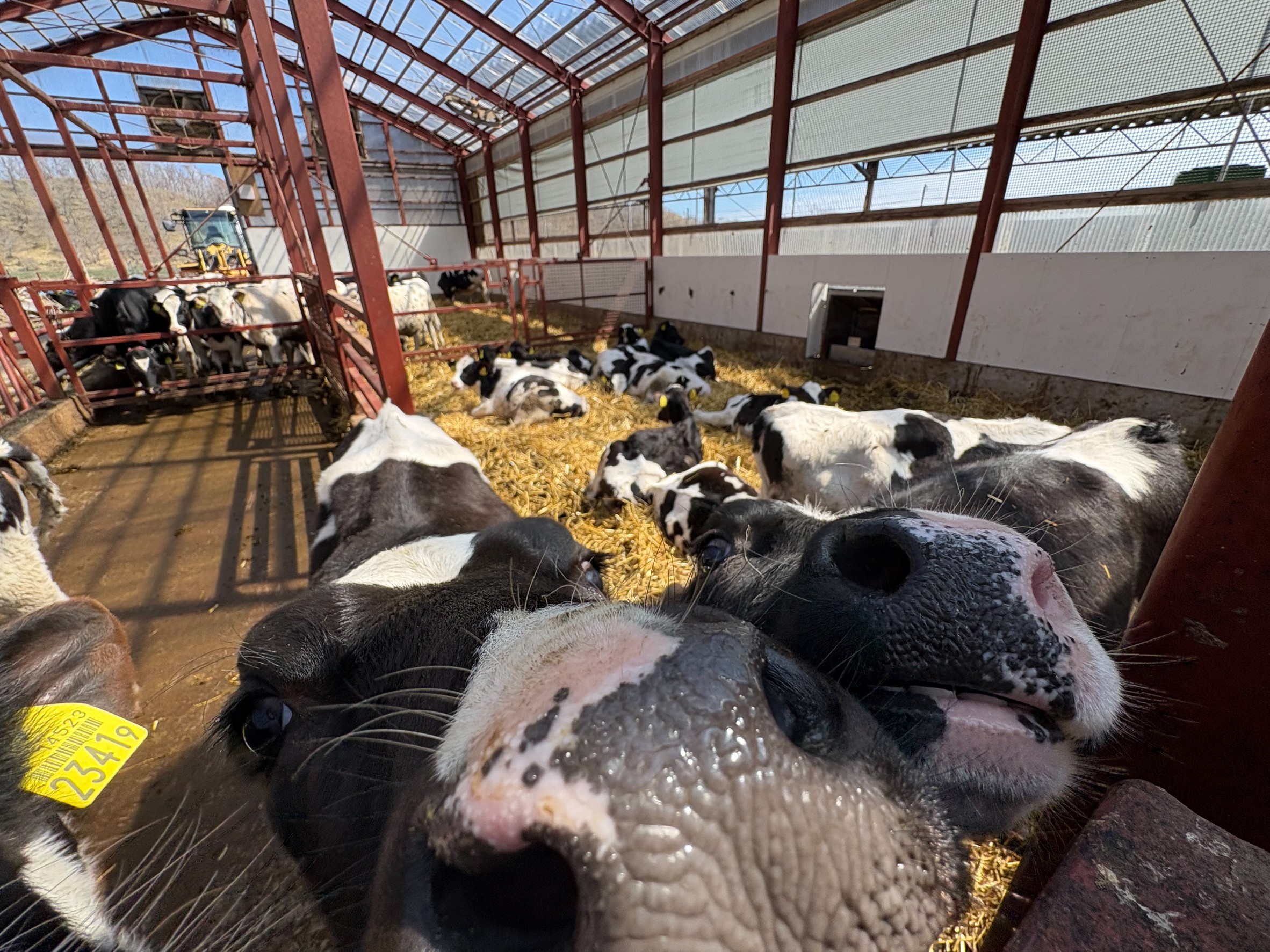 ジェネレーション